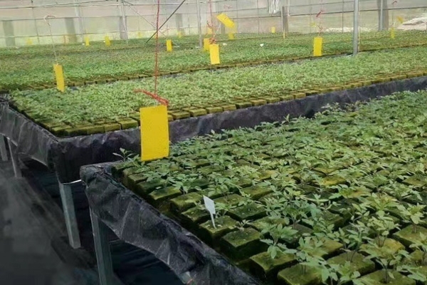 農(nóng)用種植巖棉